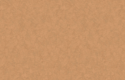 rapport