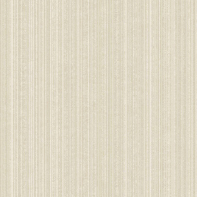 rapport